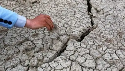 -, фото - Новости Zakon.kz от 04.08.2020 00:51