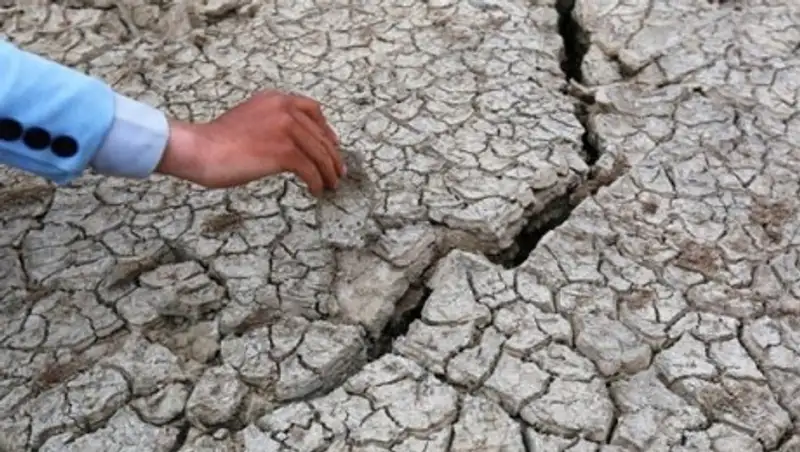 Во Франции июль стал самым засушливым месяцем за последние 60 лет