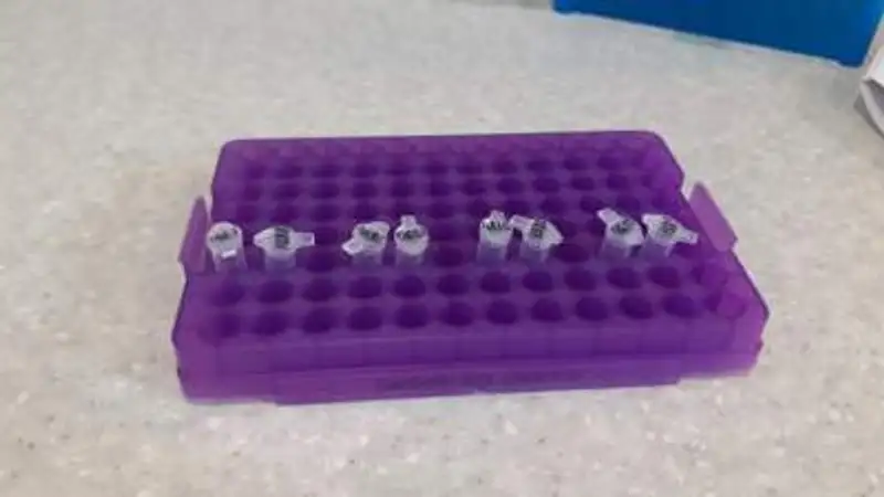 , фото - Новости Zakon.kz от 02.08.2023 10:26