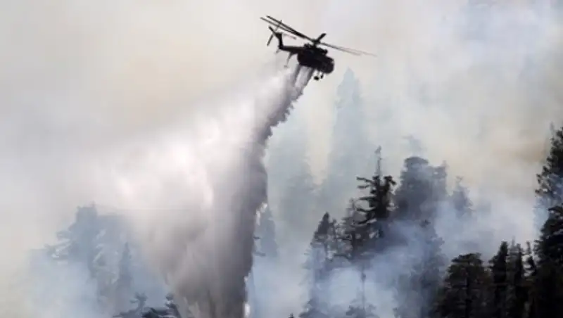 Пожар на трассе в Калифорнии уничтожил десятки машин