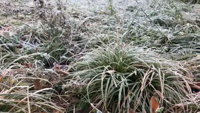 Zakon.kz, фото - Новости Zakon.kz от 15.11.2019 09:09