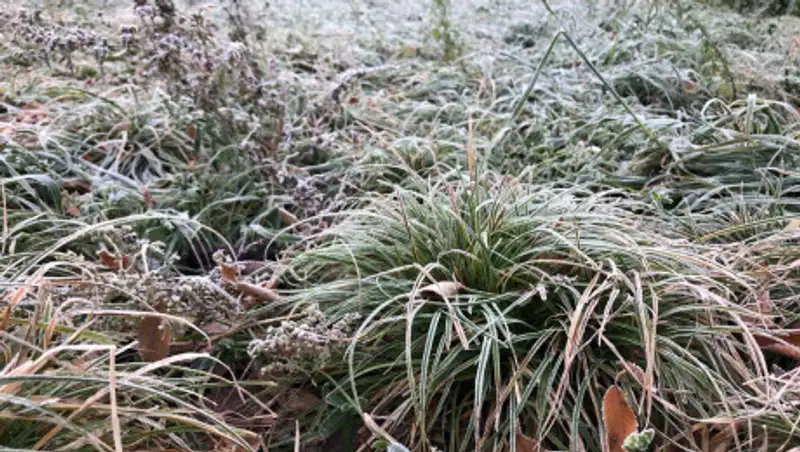 Какая погода ожидает казахстанцев 15 ноября