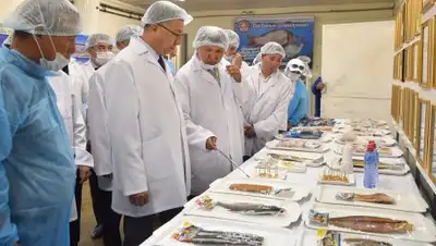 Zakon.kz, фото - Новости Zakon.kz от 04.07.2017 17:04