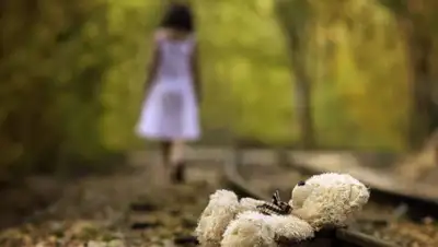 pixabay.com, фото - Новости Zakon.kz от 09.06.2020 14:18