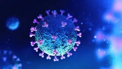 ITI.org, фото - Новости Zakon.kz от 22.05.2021 23:45