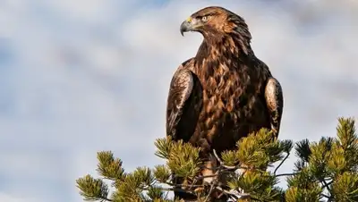 Zakon.kz, фото - Новости Zakon.kz от 03.02.2016 22:19