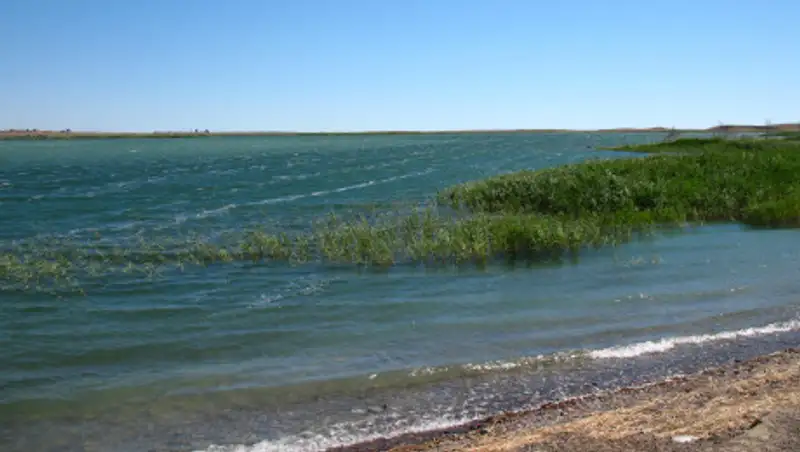 Слив грязной воды в Алаколь: обнаружено повышение некоторых показателей