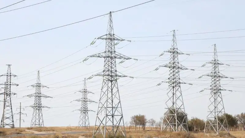 Правила ценообразования на общественно значимых рынках изменили в Казахстане