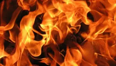 Zakon.kz, фото - Новости Zakon.kz от 23.12.2015 06:52