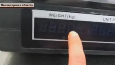 Zakon.kz, фото - Новости Zakon.kz от 10.11.2015 05:12