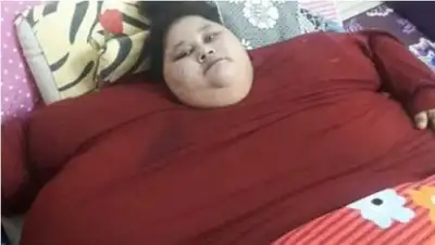 Zakon.kz, фото - Новости Zakon.kz от 12.02.2017 04:32