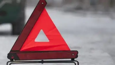 из открытых источников, фото - Новости Zakon.kz от 23.03.2018 15:50