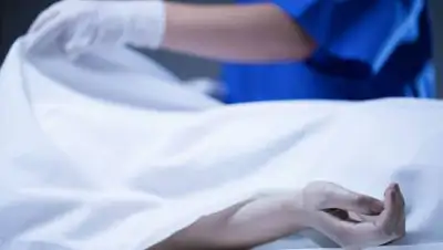 express-k.kz, фото - Новости Zakon.kz от 21.10.2020 15:24