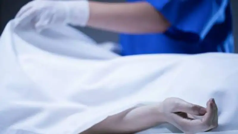 Заваленный трупами подвал больницы сняли на видео на Алтае