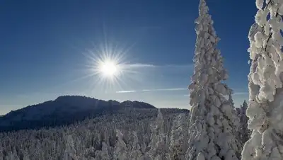 Zakon.kz, фото - Новости Zakon.kz от 01.01.2018 12:09
