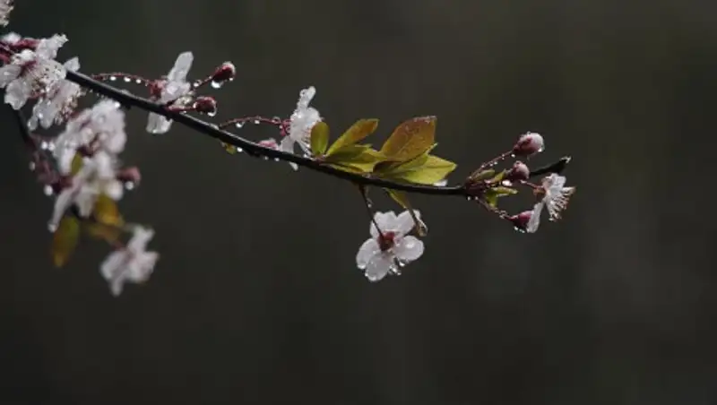 Обильные осадки с грозами ожидаются в Казахстане
