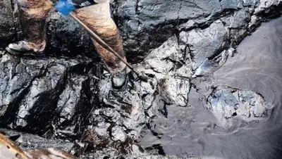 Zakon.kz, фото - Новости Zakon.kz от 20.06.2015 01:44