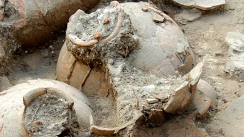 В Израиле найден винный погреб бронзового века, фото - Новости Zakon.kz от 26.11.2013 17:03