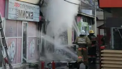 пресс-служба ДЧС Алматы, фото - Новости Zakon.kz от 22.10.2018 07:55