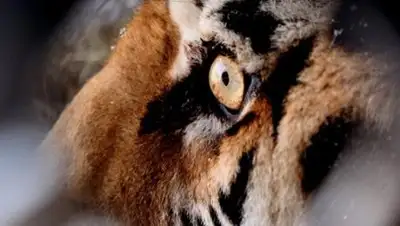 Zakon.kz, фото - Новости Zakon.kz от 25.07.2016 04:11