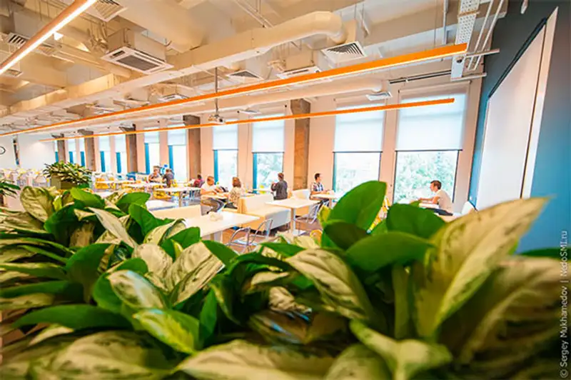 Необычный офис - чтоб я так работал! Необычный офис - чтоб я так работал!, фото - Новости Zakon.kz от 14.08.2013 18:20