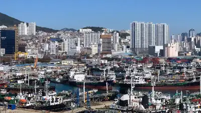 Сеул, Южная Корея, фото - Новости Zakon.kz от 05.11.2022 10:04