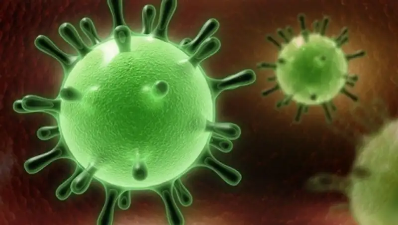 В Таиланде госпитализирована женщина с подозрением на ближневосточный коронавирус