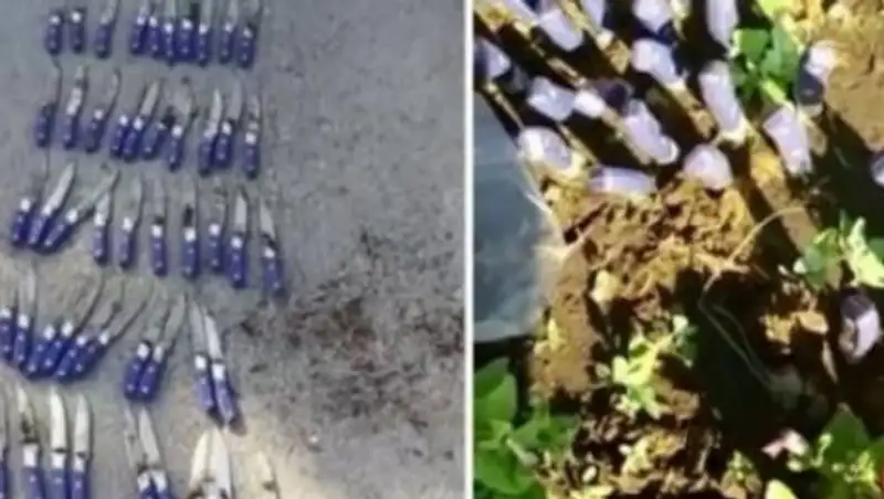 За лечение ног ножами карагандинку оштрафовали