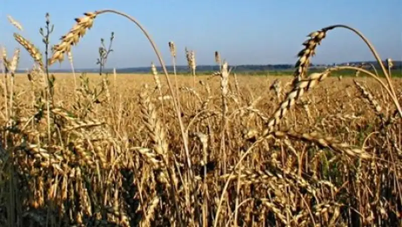 Земельные вопросы обсудили на общественном совете в Актюбинской области