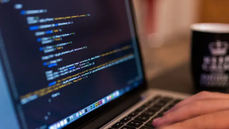 На вес золота. Спрос на программистов растет