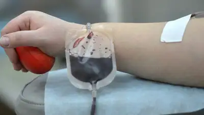 sputniknews.kz, фото - Новости Zakon.kz от 24.04.2019 11:57