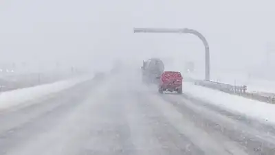 thedenverchannel.com, фото - Новости Zakon.kz от 22.03.2018 01:10