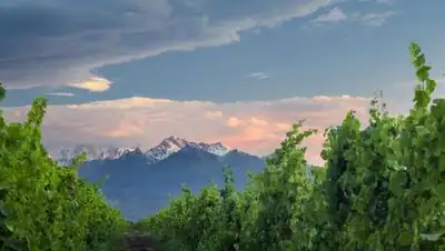 zakon.kz., фото - Новости Zakon.kz от 28.12.2020 09:00