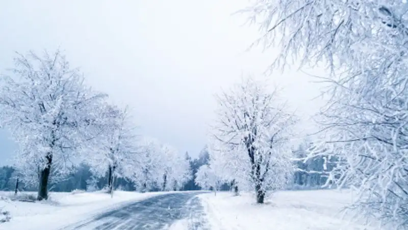 Туман, гололед, метель ожидаются в Казахстане
