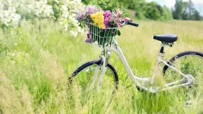 Решительная риддерчанка догнала акима на велосипеде, фото - Новости Zakon.kz от 07.08.2023 14:47