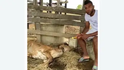 Facebook/Miguel Angel Borja, фото - Новости Zakon.kz от 13.04.2020 17:50