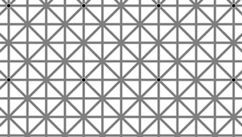 Оптическая иллюзия заставила пользователей сети поверить в ведьм