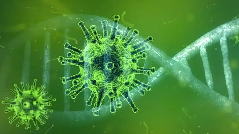 За сутки в Казахстане коронавирус выявили у 46 человек