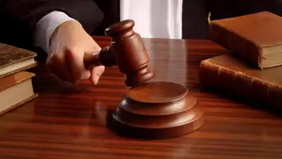 Кубанские новости, фото - Новости Zakon.kz от 25.12.2019 09:56