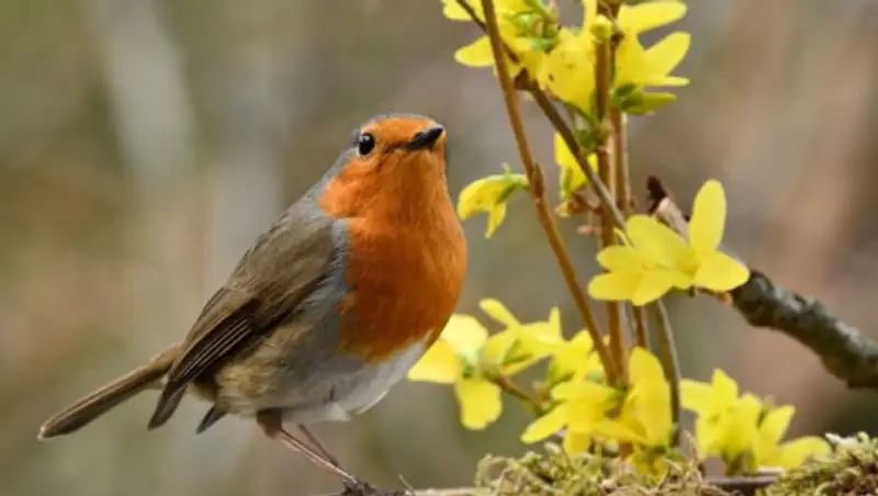 31 марта казахстанцев ожидает ясная погода