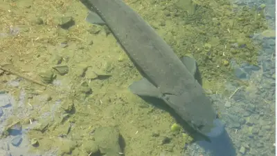 pixabay.com, фото - Новости Zakon.kz от 06.09.2019 12:05