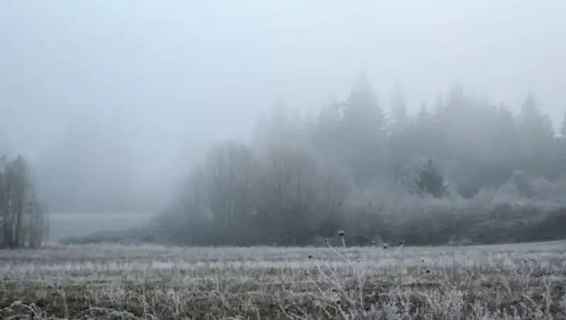 В четырех областях Казахстана ожидаются туманы