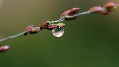 gagauzmedia.md, фото - Новости Zakon.kz от 12.03.2018 12:12