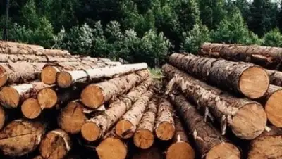 Zakon.kz, фото - Новости Zakon.kz от 06.08.2015 15:20