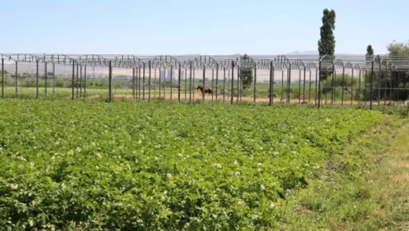 Сапарбаев обратился к  жамбылским аграриям