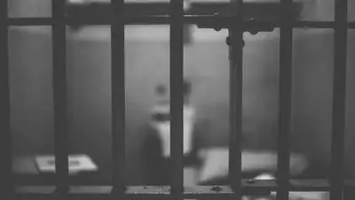 Pixabay, фото - Новости Zakon.kz от 14.12.2020 12:21