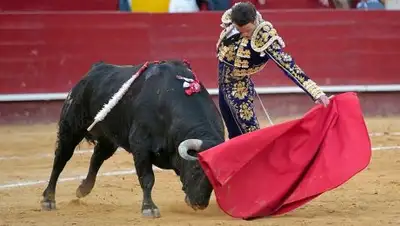 ILoveValencia.Ru, фото - Новости Zakon.kz от 13.02.2018 12:39