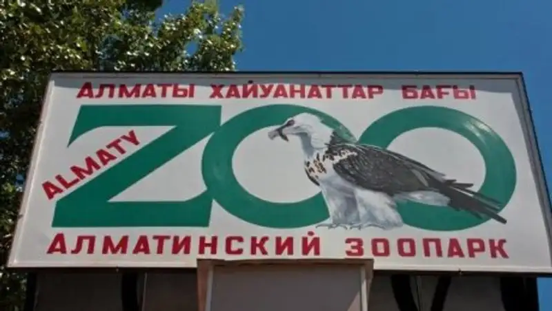 Кто следующий? В Алматинском зоопарке составили целый список умирающих животных