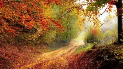 pixabay.com, фото - Новости Zakon.kz от 07.09.2020 11:19