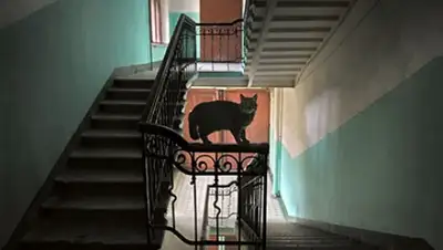 Zakon.kz, фото - Новости Zakon.kz от 12.09.2015 01:54